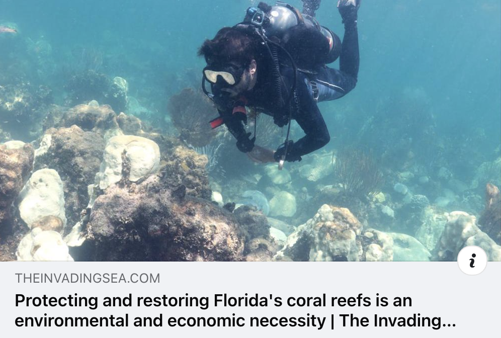 Op-ed by Mary Anna Mancuso: Protecting and restoring Florida’s coral reefs is an environmental and economic necessity